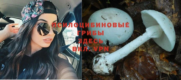 гидропоника Абдулино